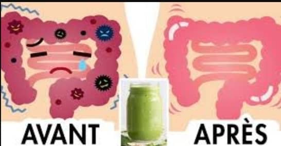You are currently viewing Nettoyer votre colon